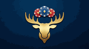 Vegas Moose Casino 3